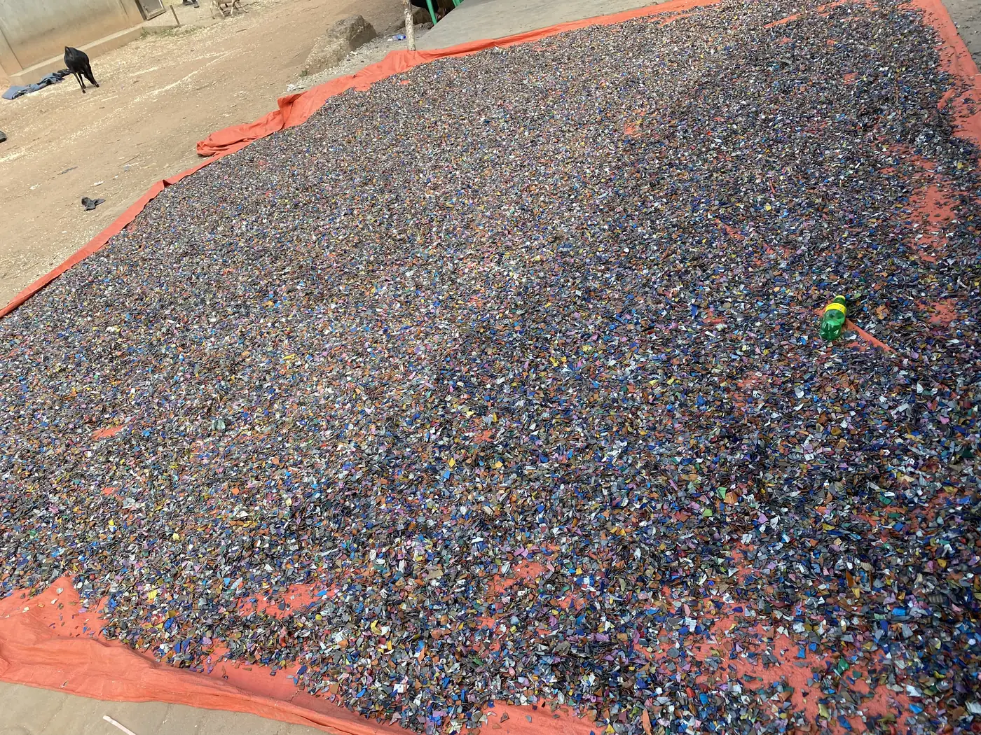 Washed recycled plastic flakes drying in the yard at Luther Plastics